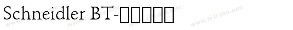 Schneidler BT字体转换